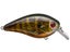 Natural Bream