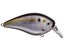 Natural Shad