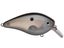 Green Gizzard Shad