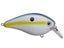 Sexy Shad