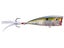 Clear Sexy Shad