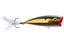 Gold Sexy Shad