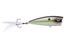 Summer Sexy Shad