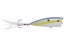 Sexy Shad