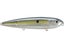 Clear Sexy Shad