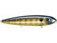 Blue Gill