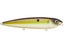 Summer Sexy Shad