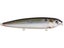 Natural Shad