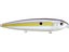 Chartreuse Shad