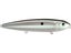 Green Gizzard Shad