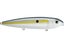 Sexy Shad