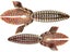 Falcon Lake Craw