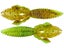 Summer Craw