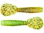 Summer Craw