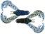 Strike King Rage Tail Chunk 7pk
