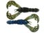 Okeechobee Craw