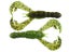 Summer Craw