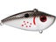 Bleeding Gizzard Shad