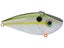 Olive Shad