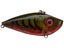 Phantom Watermelon Red Craw
