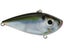 Natural Shad
