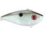 Green Gizzard Shad