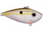 Olive Shad