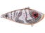Albino Craw