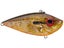 Orange Bream