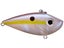 Chartreuse Shad