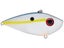 Sexy Shad