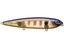 Bluegill