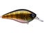 SKT 110 Mag MR Kinkuro Michael Gill