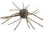 Strike King Tumbleweed Floating