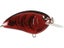 Blood Craw