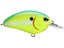 Chartreuse Nasty