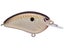 Copper Shad