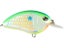 Citrus Shad