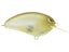 Matte Shad