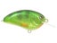 Real Perch