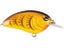 Spring Craw