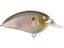 Spooky Shad