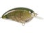 Watermlon Red Craw
