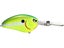 Chartreuse Nasty