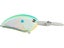 Citrus Shad