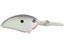 Nasty Shad