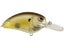 Clear Chartreuse