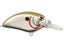 Chrome Olive