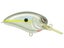 Homemade Shad
