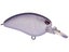 Lavender Shad